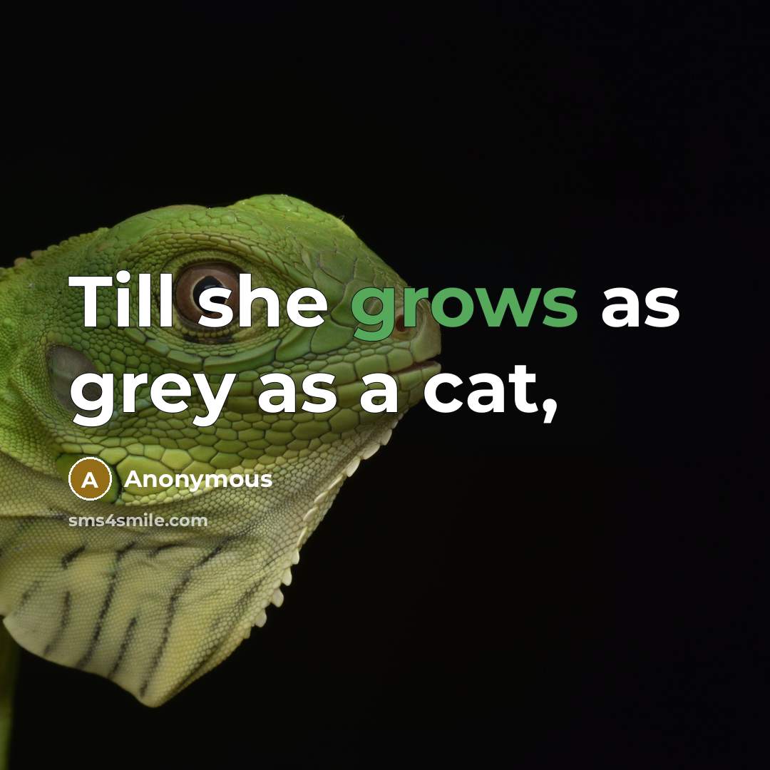 “Till she grows as grey as a cat,” quote by Anonymous
