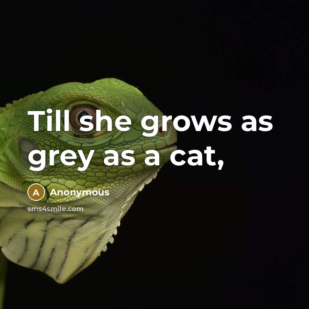 “Till she grows as grey as a cat,…” quote by Anonymous