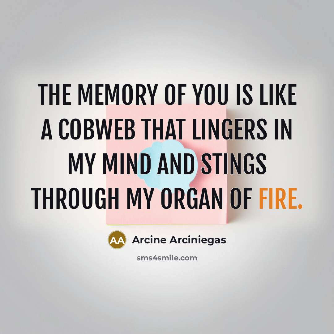 “The memory of you is like a cobweb that lingers…” quote by Arcine Arciniegas