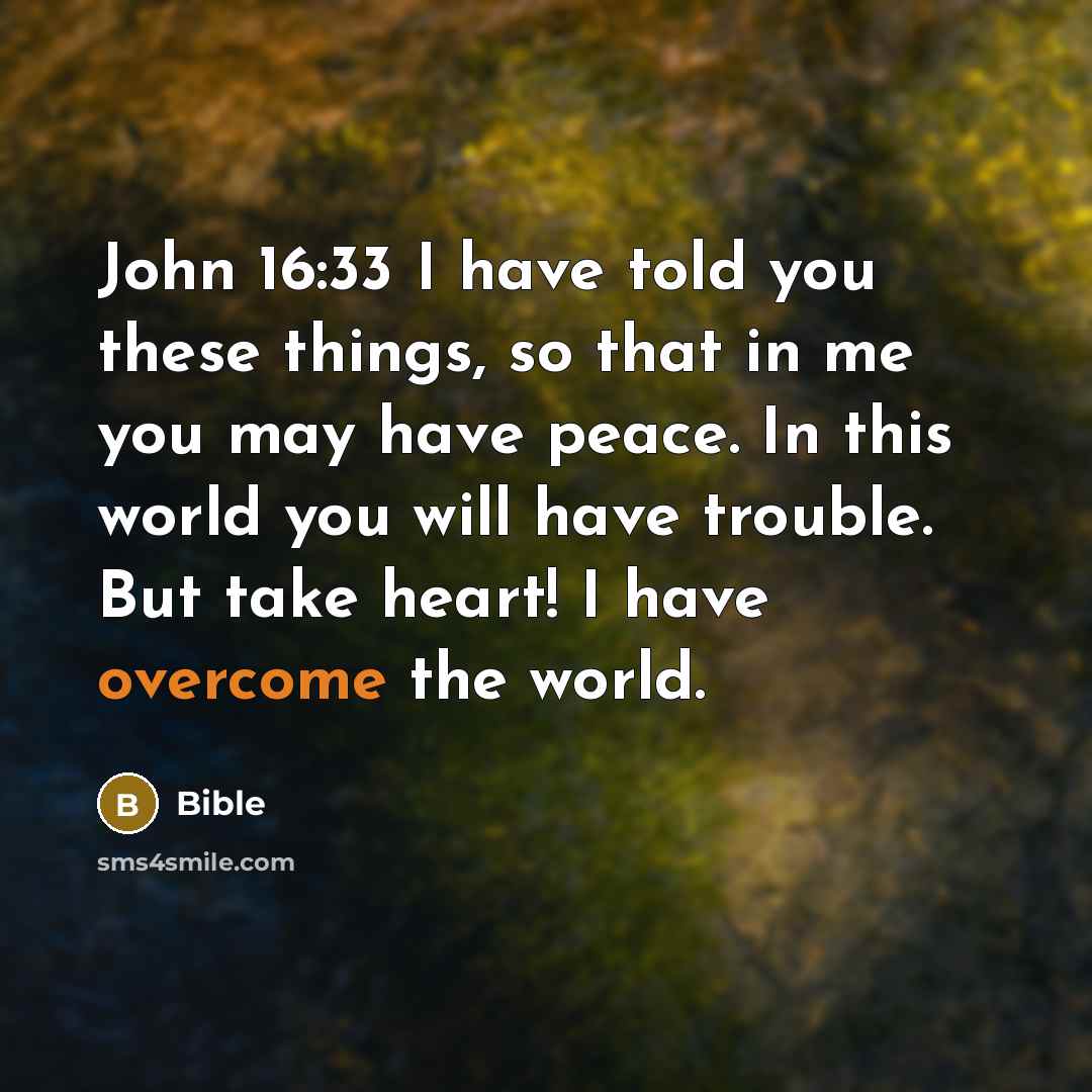 “John 16:33 I have told you these things, so that…” quote by Bible