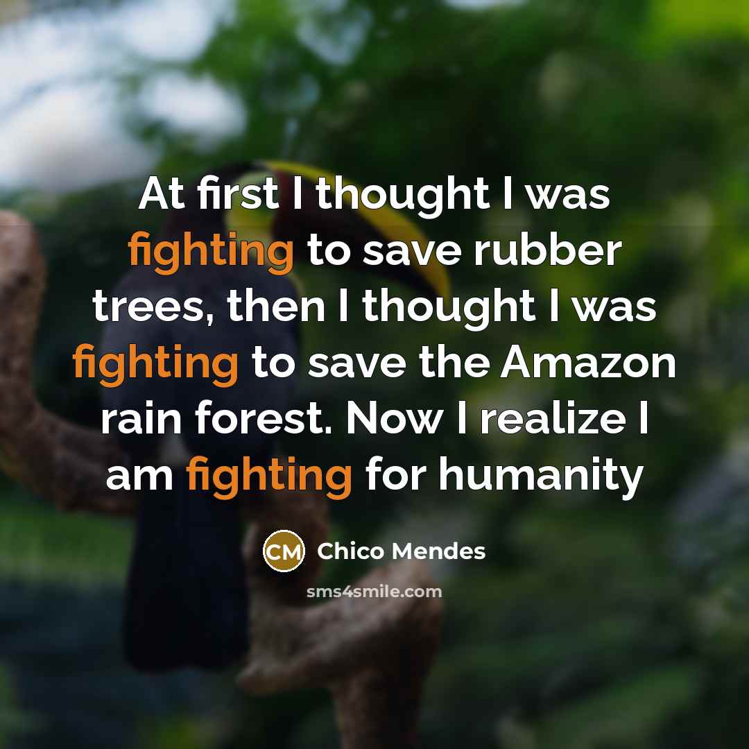 “At first I thought I was fighting to save rubber…” quote by Chico Mendes