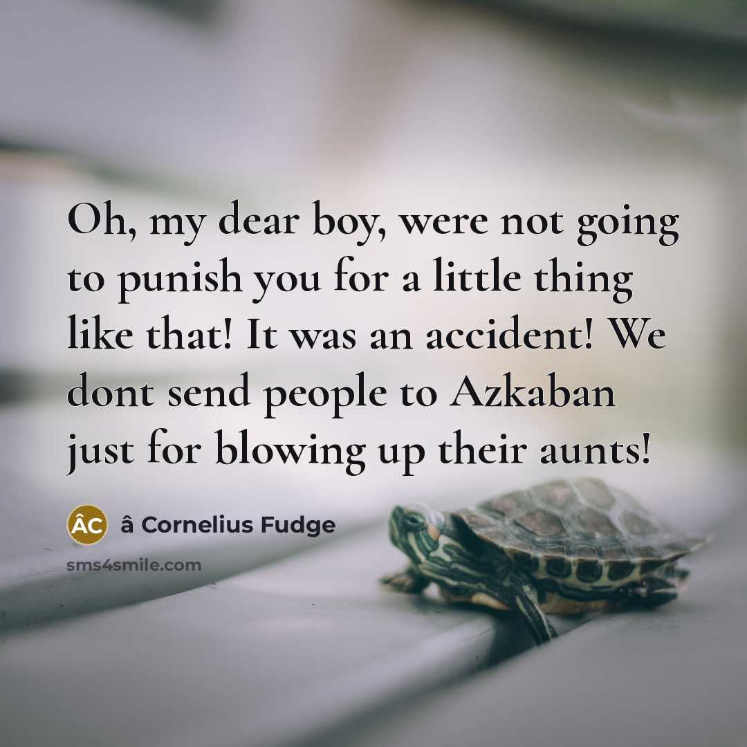 “Oh, my dear boy, were not going to punish you for a little thing like that! It was an accident! We dont send people to Azkaban just for blowing up their aunts!” quote by â Cornelius Fudge