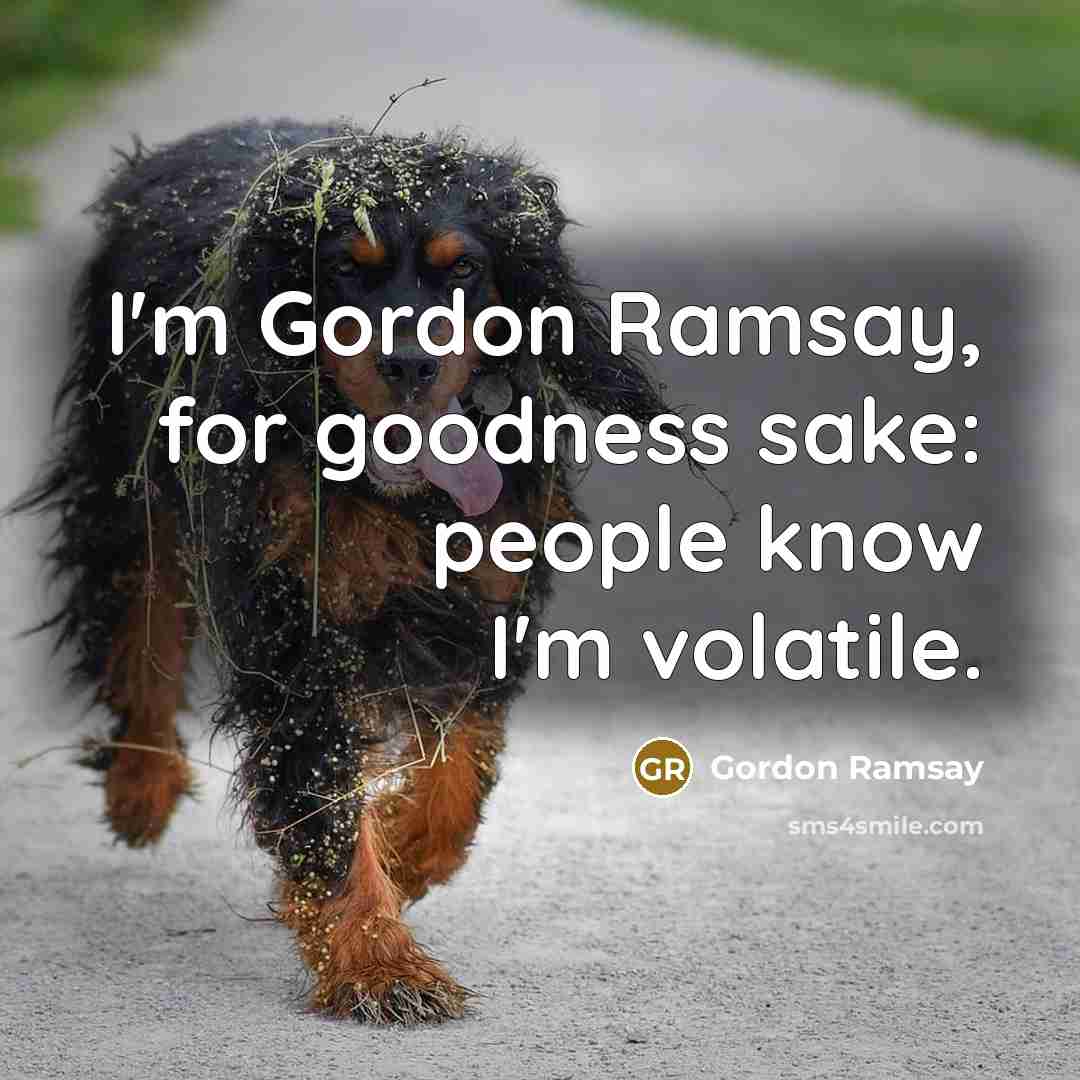 “I'm Gordon Ramsay, for goodness sake: people know I'm volatile.…” quote by Gordon Ramsay