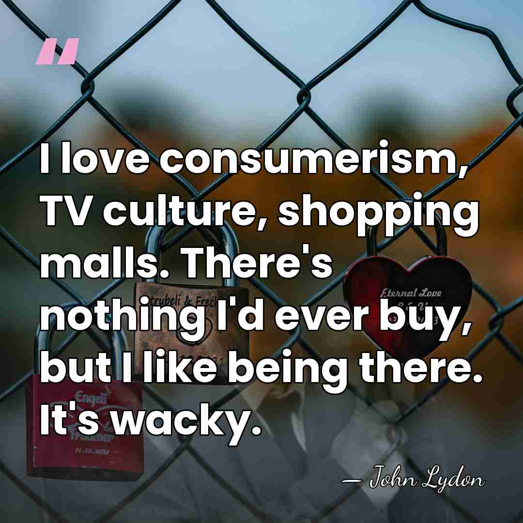 I love consumerism, TV culture, shopping malls. There's nothing I'd ever buy,&hellip; - John Lydon