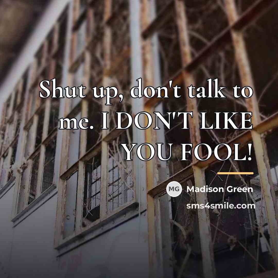 “Shut up, don't talk to me. I DON'T LIKE YOU…” quote by Madison Green