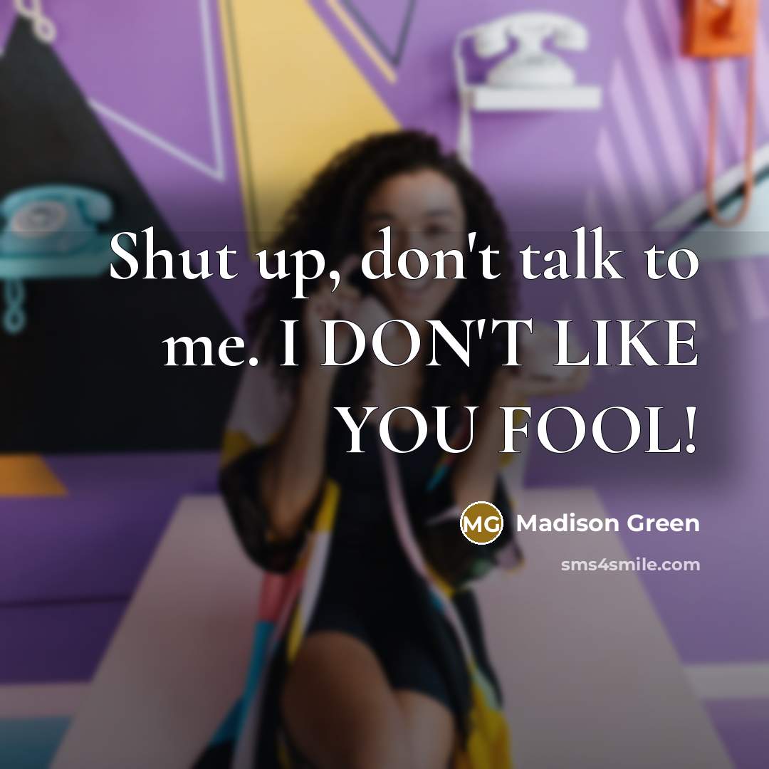 “Shut up, don't talk to me. I DON'T LIKE YOU FOOL!” quote by Madison Green