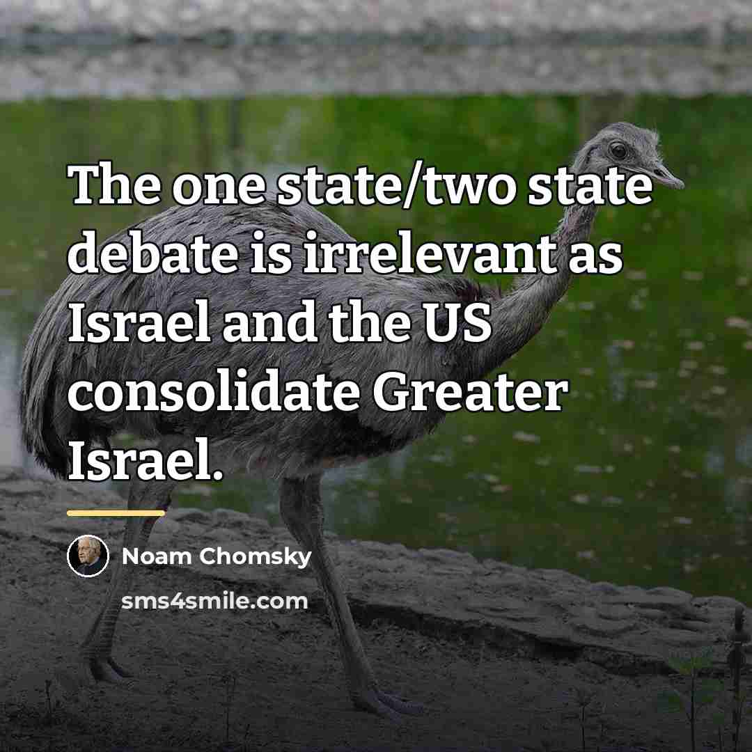 “The one state/two state debate is irrelevant as Israel and…” quote by Noam Chomsky
