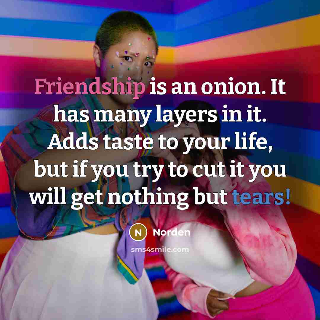“Friendship is an onion. It has many layers in it.…” quote by Norden