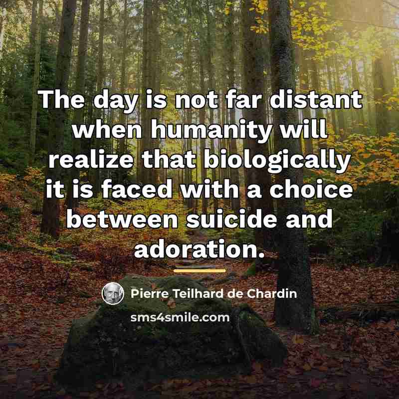 “The day is not far distant when humanity will realize…” quote by Pierre Teilhard de Chardin