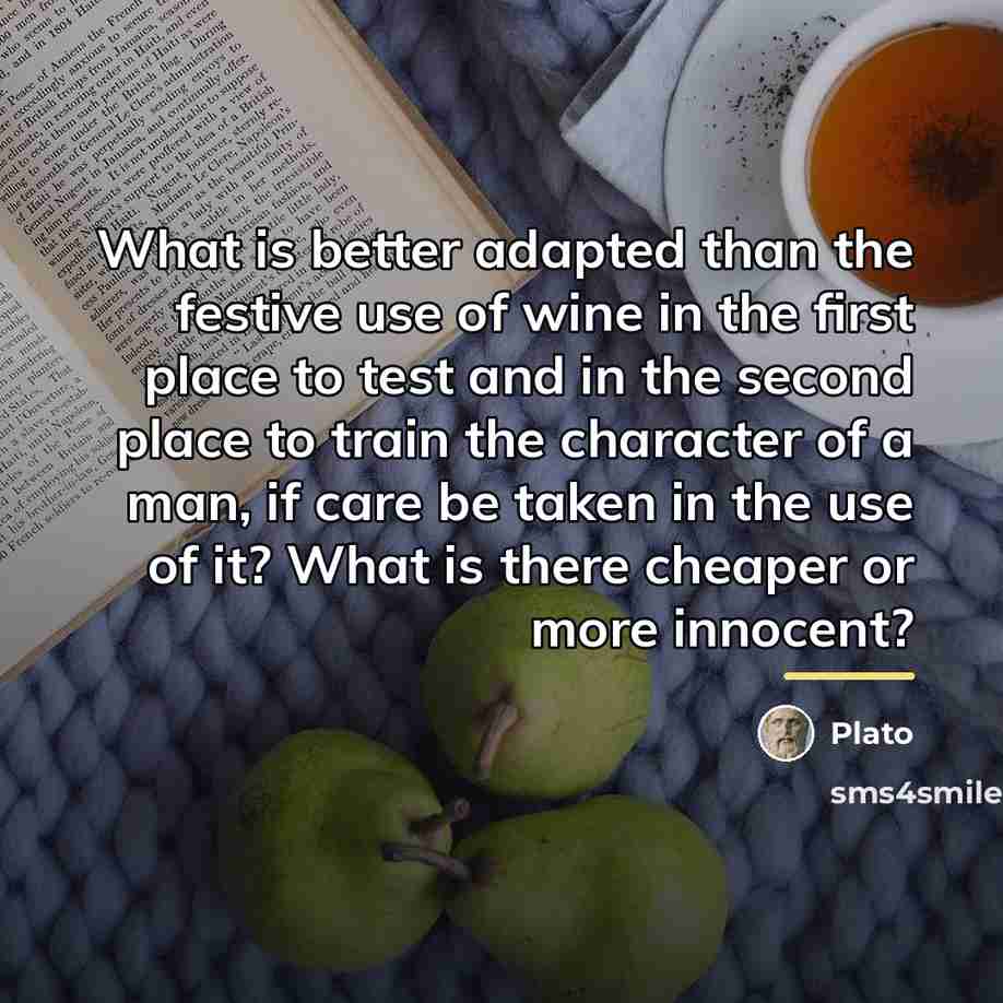 “What is better adapted than the festive use of wine…” quote by Plato