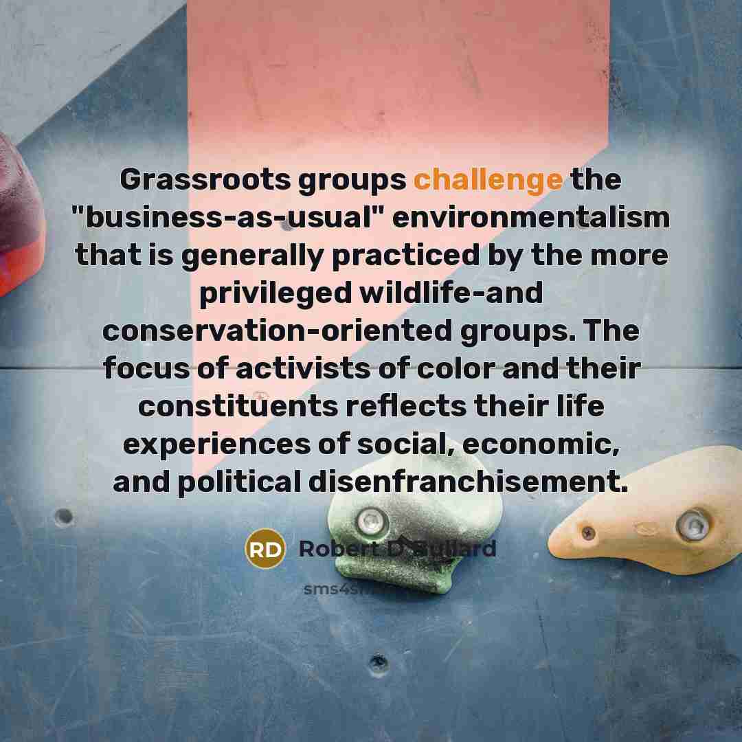“Grassroots groups challenge the "business-as-usual" environmentalism that is generally practiced…” quote by Robert D Bullard