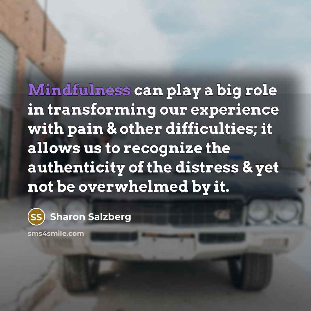 “Mindfulness can play a big role in transforming our experience…” quote by Sharon Salzberg