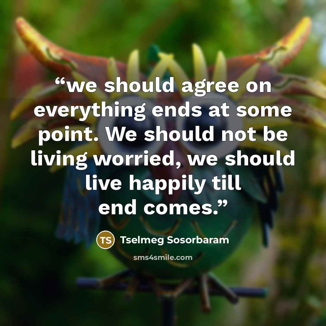 “we should agree on everything ends at some point. We should not be living worried, we should live happily till end comes.” quote by Tselmeg Sosorbaram