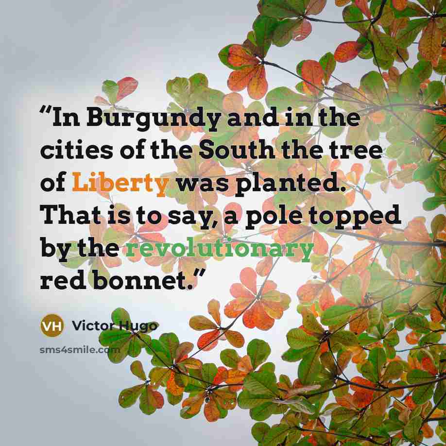 “In Burgundy and in the cities of the South the tree of Liberty was planted. That is to say, a pole topped by the revolutionary red bonnet.” quote by Victor Hugo