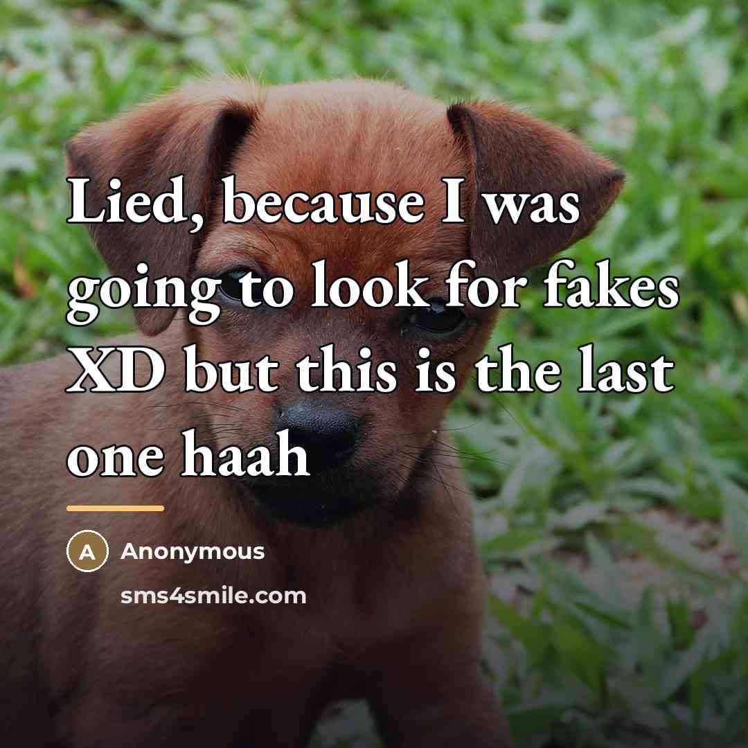 “Lied, because I was going to look for fakes XD…” quote by Anonymous