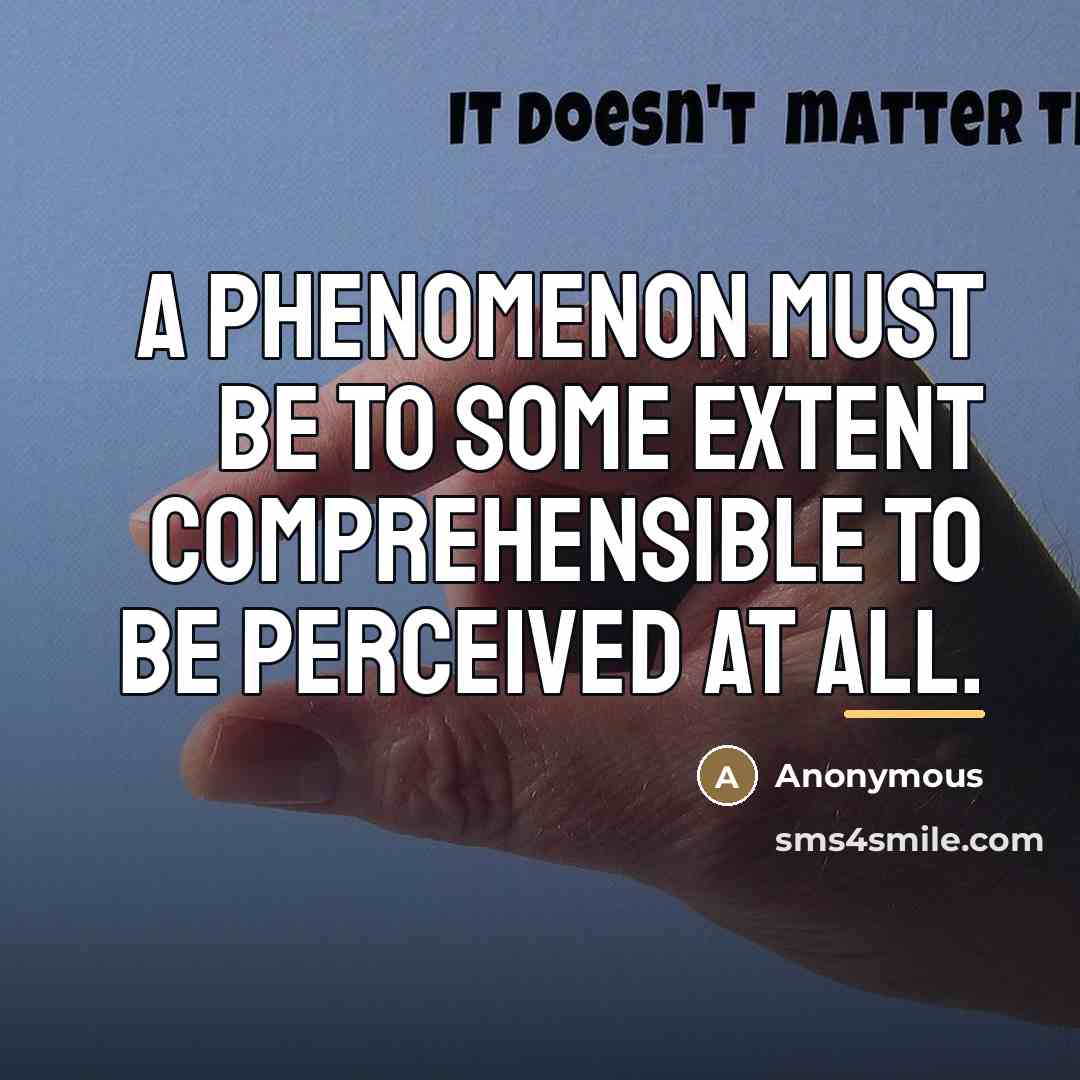 “A phenomenon must be to some extent comprehensible to be…” quote by Anonymous