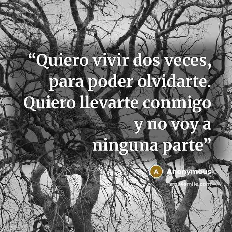 “Quiero vivir dos veces, para poder olvidarte. Quiero llevarte conmigo y no voy a ninguna parte” quote by Anonymous