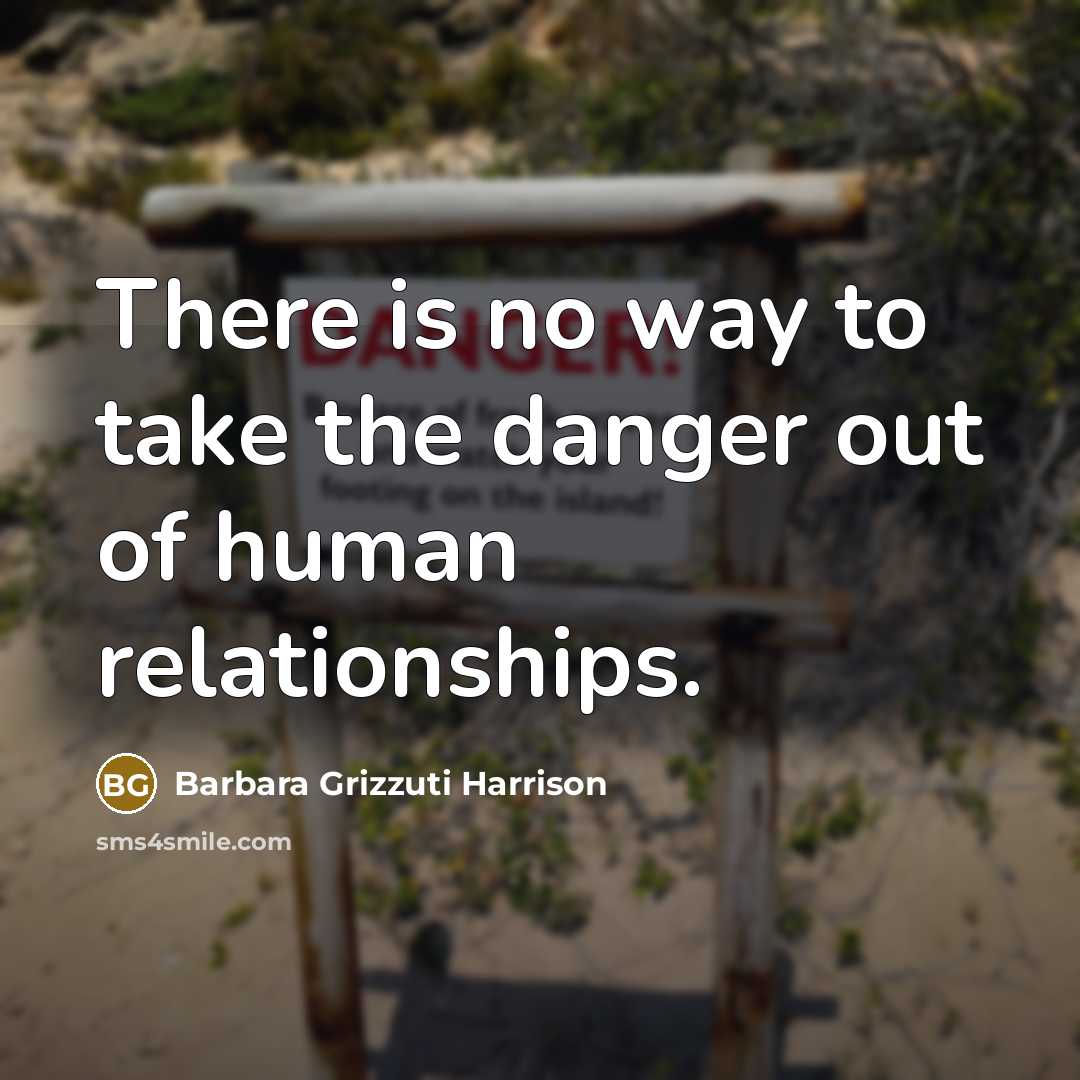 “There is no way to take the danger out of…” quote by Barbara Grizzuti Harrison