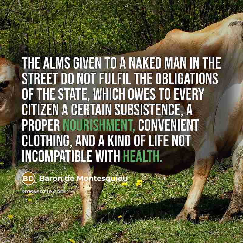 “The alms given to a naked man in the street…” quote by Baron de Montesquieu