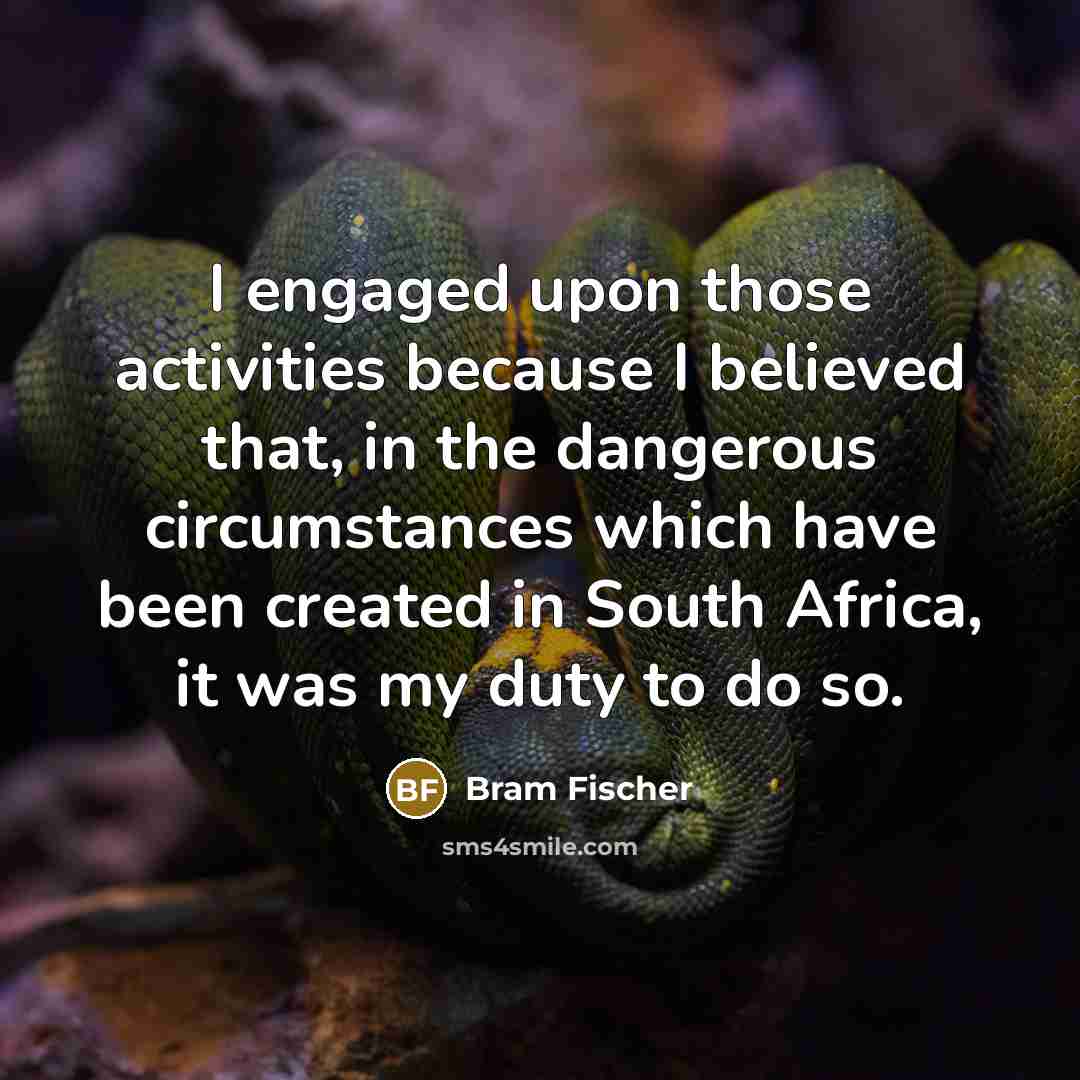 “I engaged upon those activities because I believed that, in…” quote by Bram Fischer