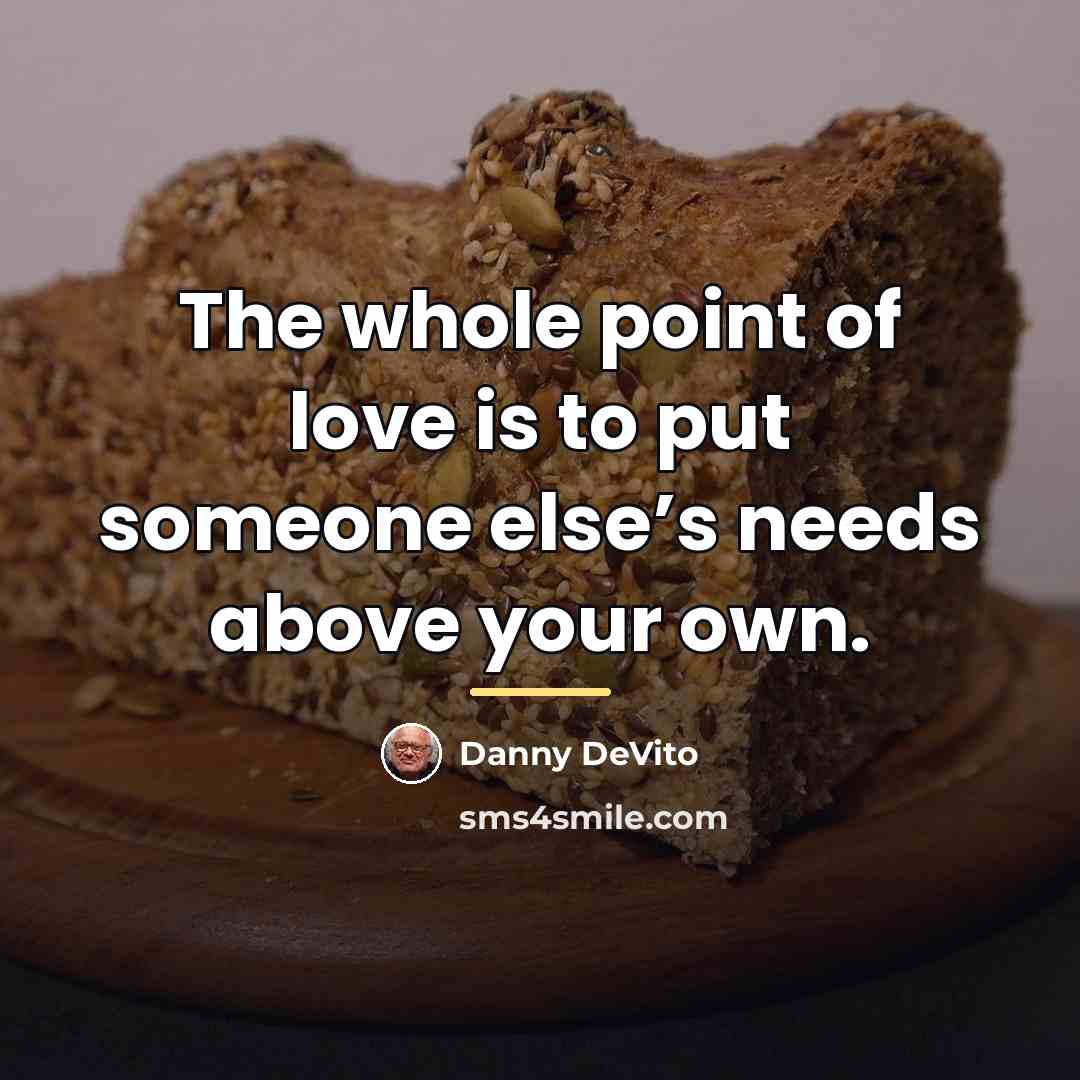 “The whole point of love is to put someone else’s…” quote by Danny DeVito
