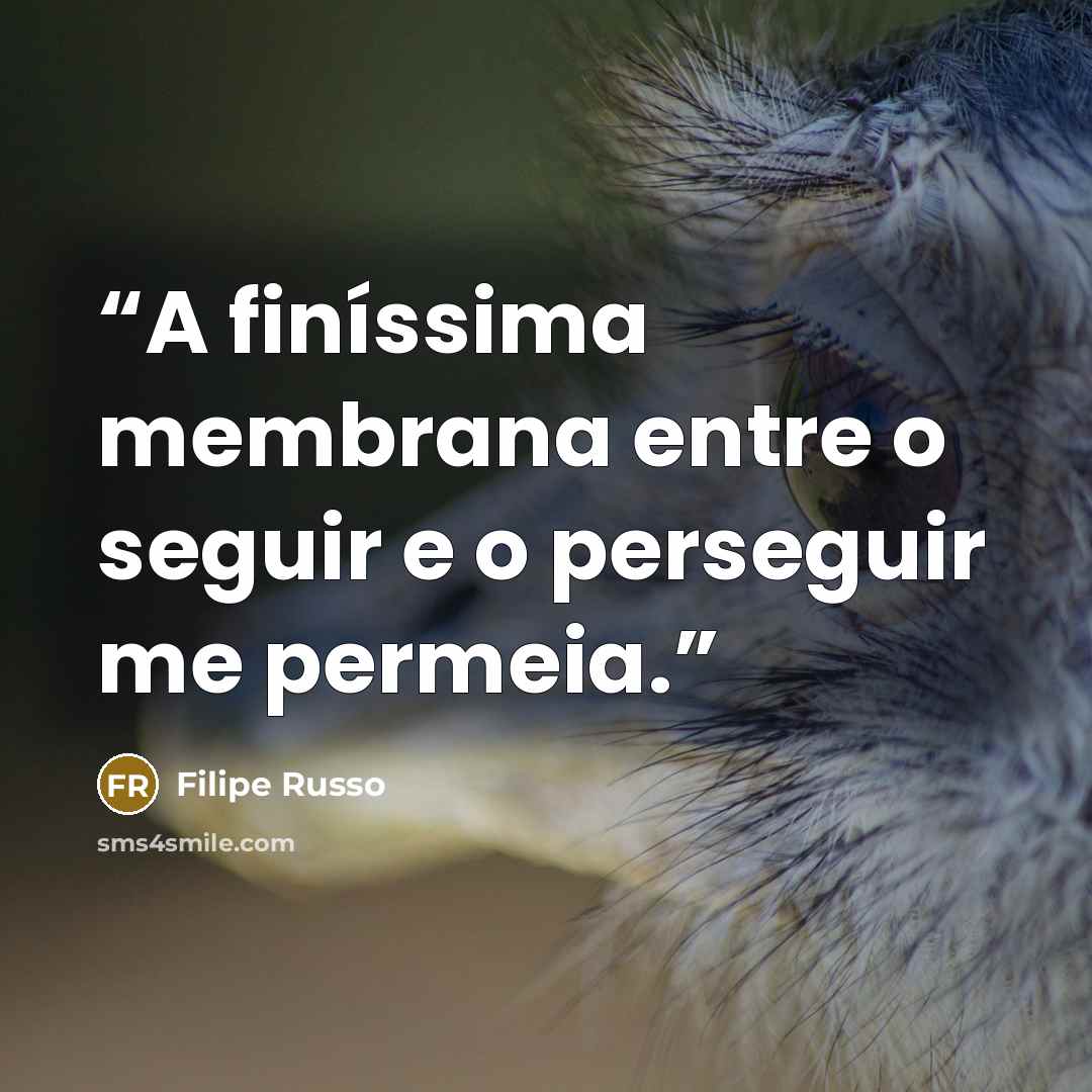 “A finíssima membrana entre o seguir e o perseguir me permeia.” quote by Filipe Russo