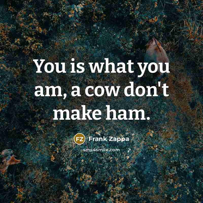 “You is what you am, a cow don't make ham.…” quote by Frank Zappa