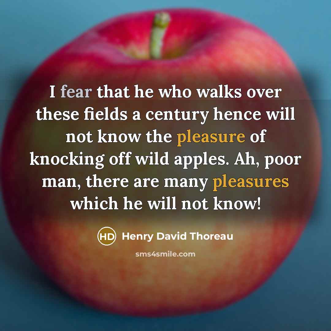 “I fear that he who walks over these fields a century hence will not know the pleasure of knocking off wild apples. Ah, poor man, there are many pleasures which he will not know!” quote by Henry David Thoreau