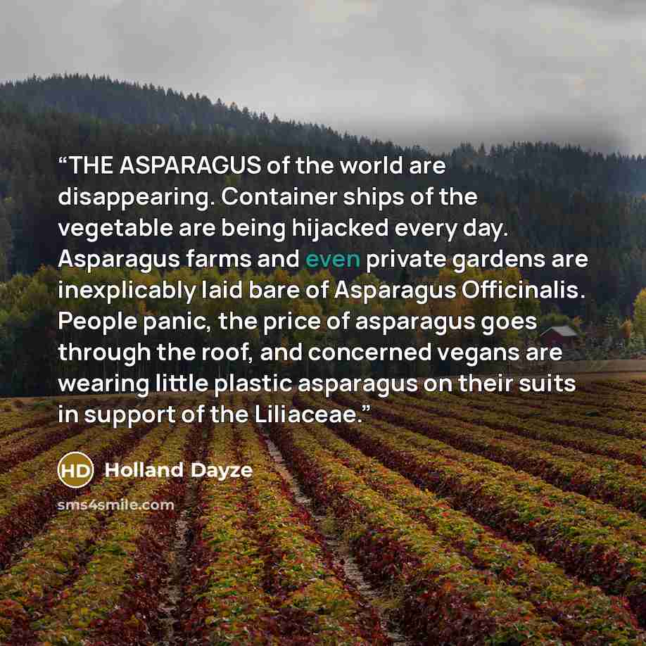 “THE ASPARAGUS of the world are disappearing. Container ships of the vegetable are being hijacked every day. Asparagus farms and even private gardens are inexplicably laid bare of Asparagus Officinalis. People panic, the price of asparagus goes through the roof, and concerned vegans are wearing…” quote by Holland Dayze