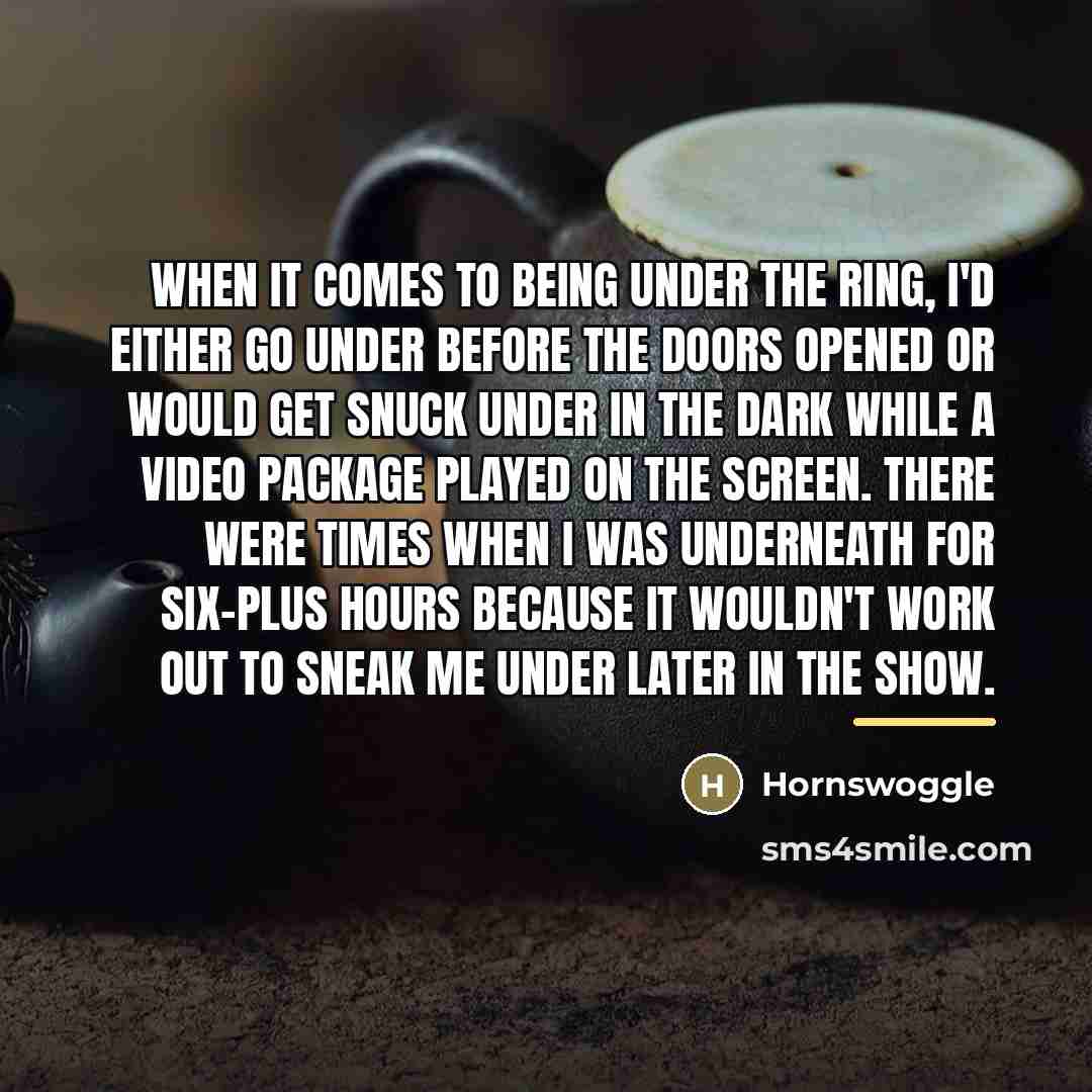 “When it comes to being under the ring, I'd either…” quote by Hornswoggle