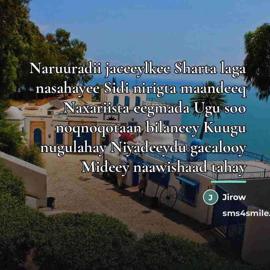 “Naruuradii jaceeylkee Sharta laga nasahayee Sidi nirigta maandeeq Naxariista eegmada…” quote by Jirow