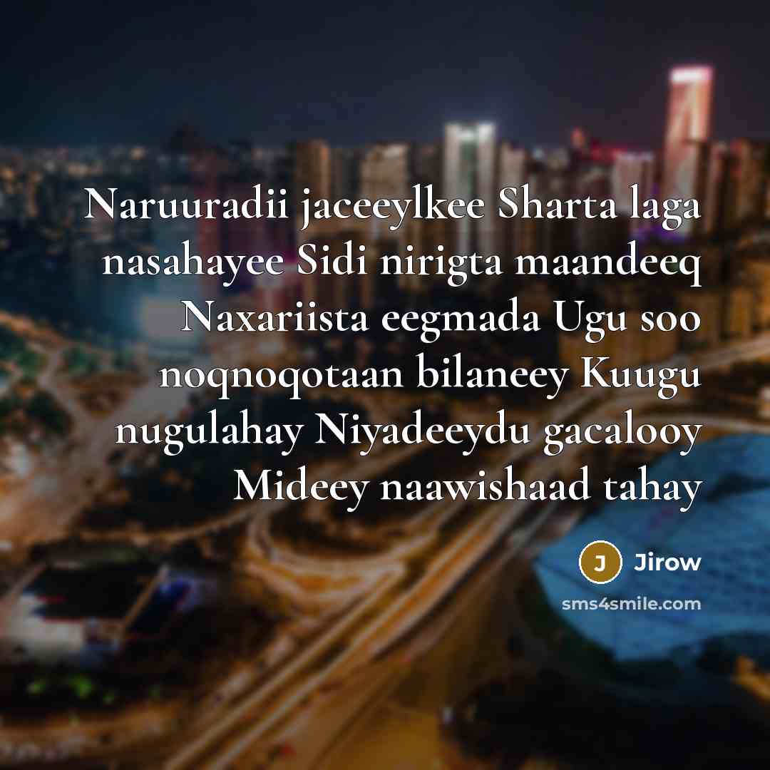 “Naruuradii jaceeylkee Sharta laga nasahayee Sidi nirigta maandeeq Naxariista eegmada Ugu soo noqnoqotaan bilaneey Kuugu nugulahay Niyadeeydu gacalooy Mideey naawishaad tahay” quote by Jirow
