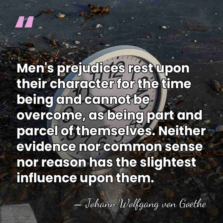 Men's prejudices rest upon their character for the time being and cannot&hellip; - Johann Wolfgang von Goethe