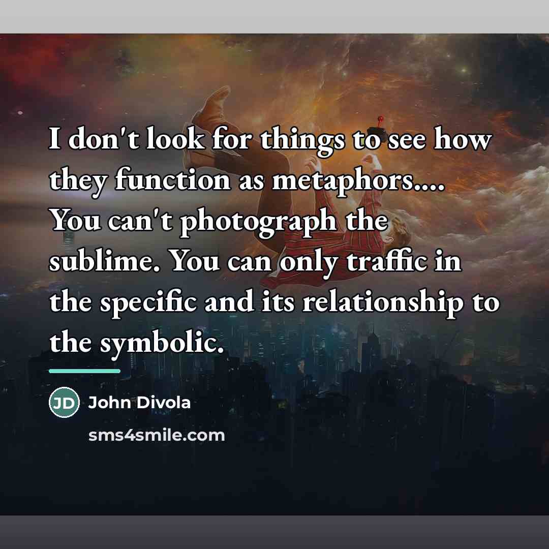 “I don't look for things to see how they function…” quote by John Divola