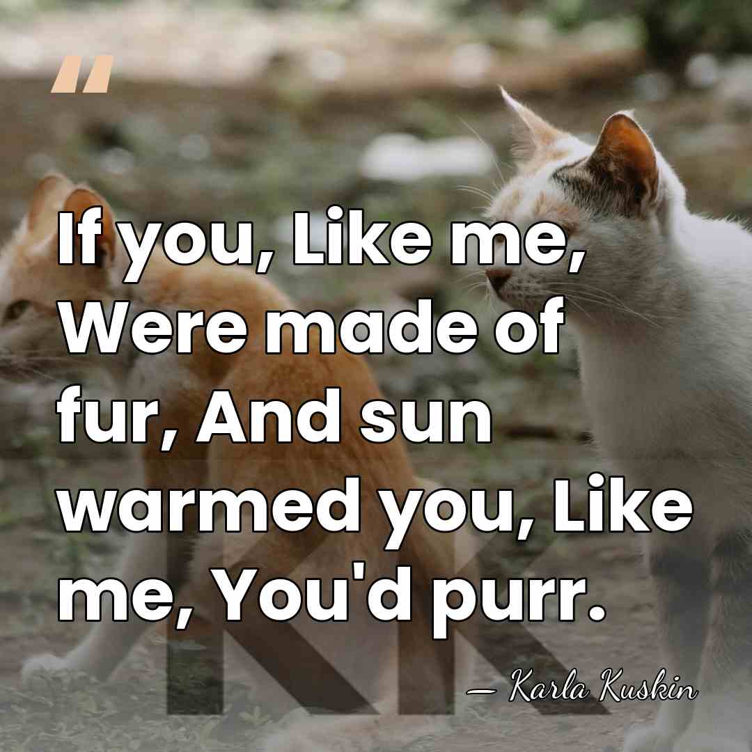 If you, Like me, Were made of fur, And sun warmed you,&hellip; - Karla Kuskin