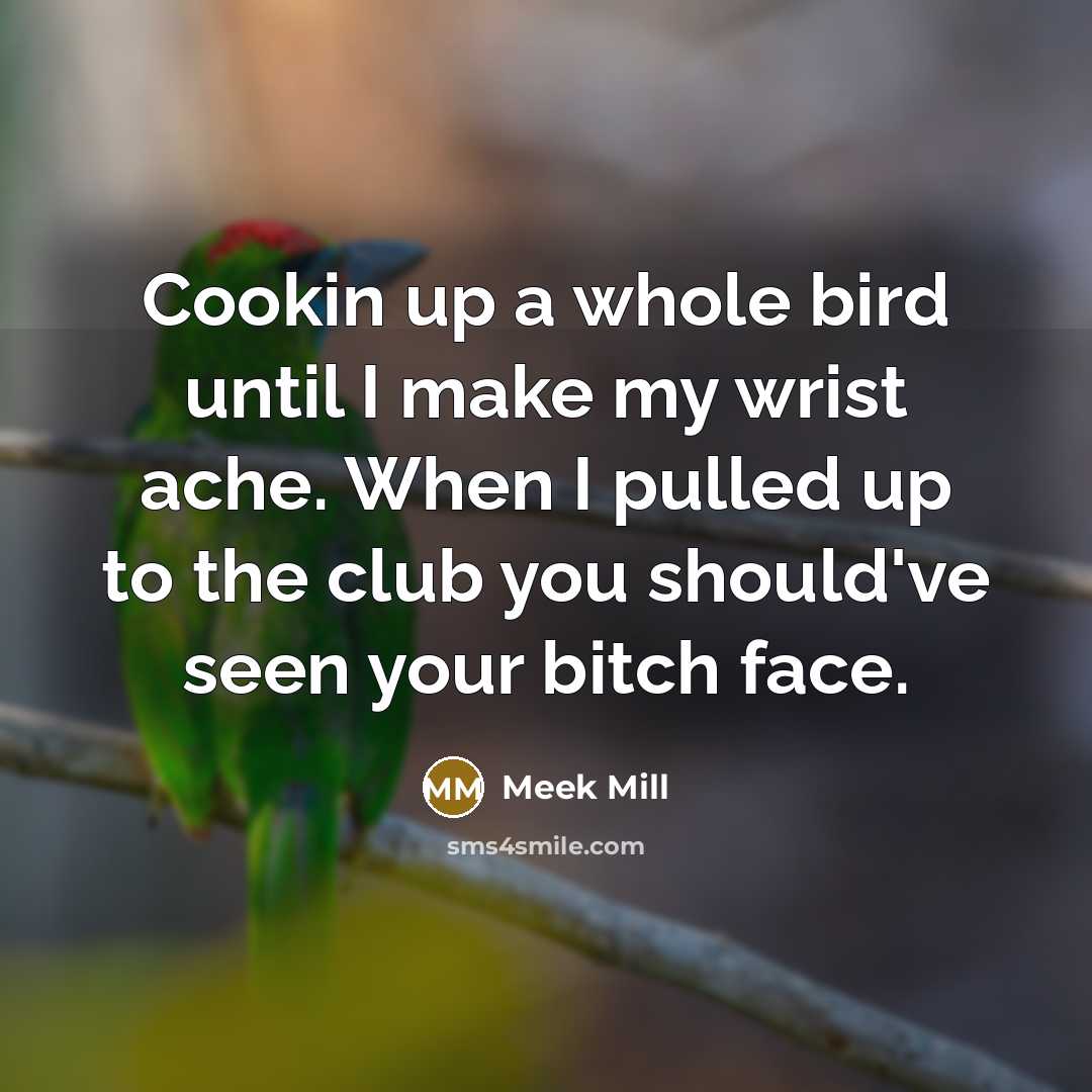“Cookin up a whole bird until I make my wrist…” quote by Meek Mill