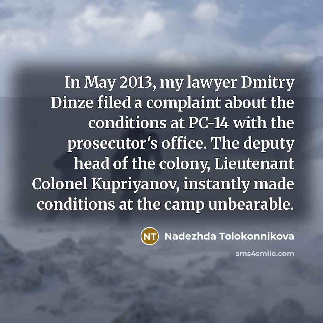 “In May 2013, my lawyer Dmitry Dinze filed a complaint…” quote by Nadezhda Tolokonnikova