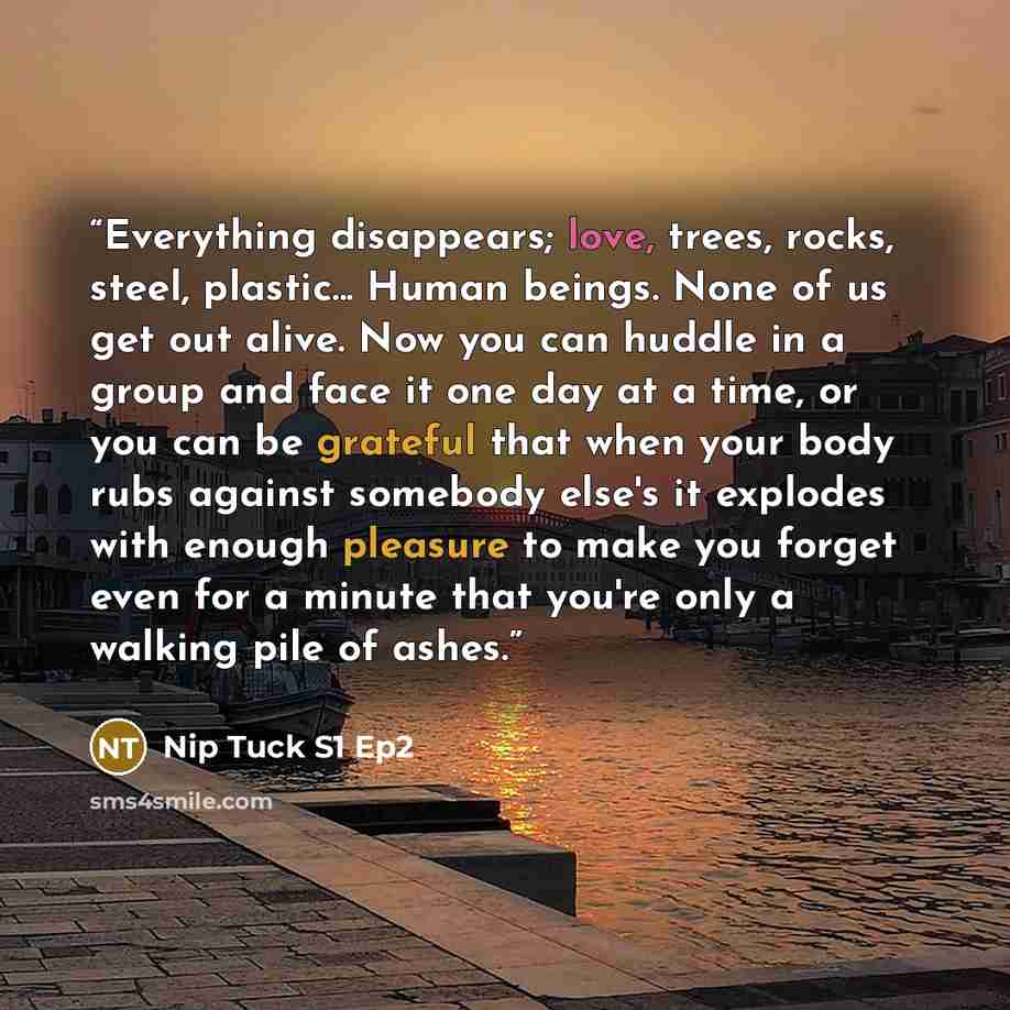 “Everything disappears; love, trees, rocks, steel, plastic... Human beings. None of us get out alive. Now you can huddle in a group and face it one day at a time, or you can be grateful that when your body rubs against somebody else's it explodes with enough pleasure to make you forget even for a…” quote by Nip Tuck S1 Ep2