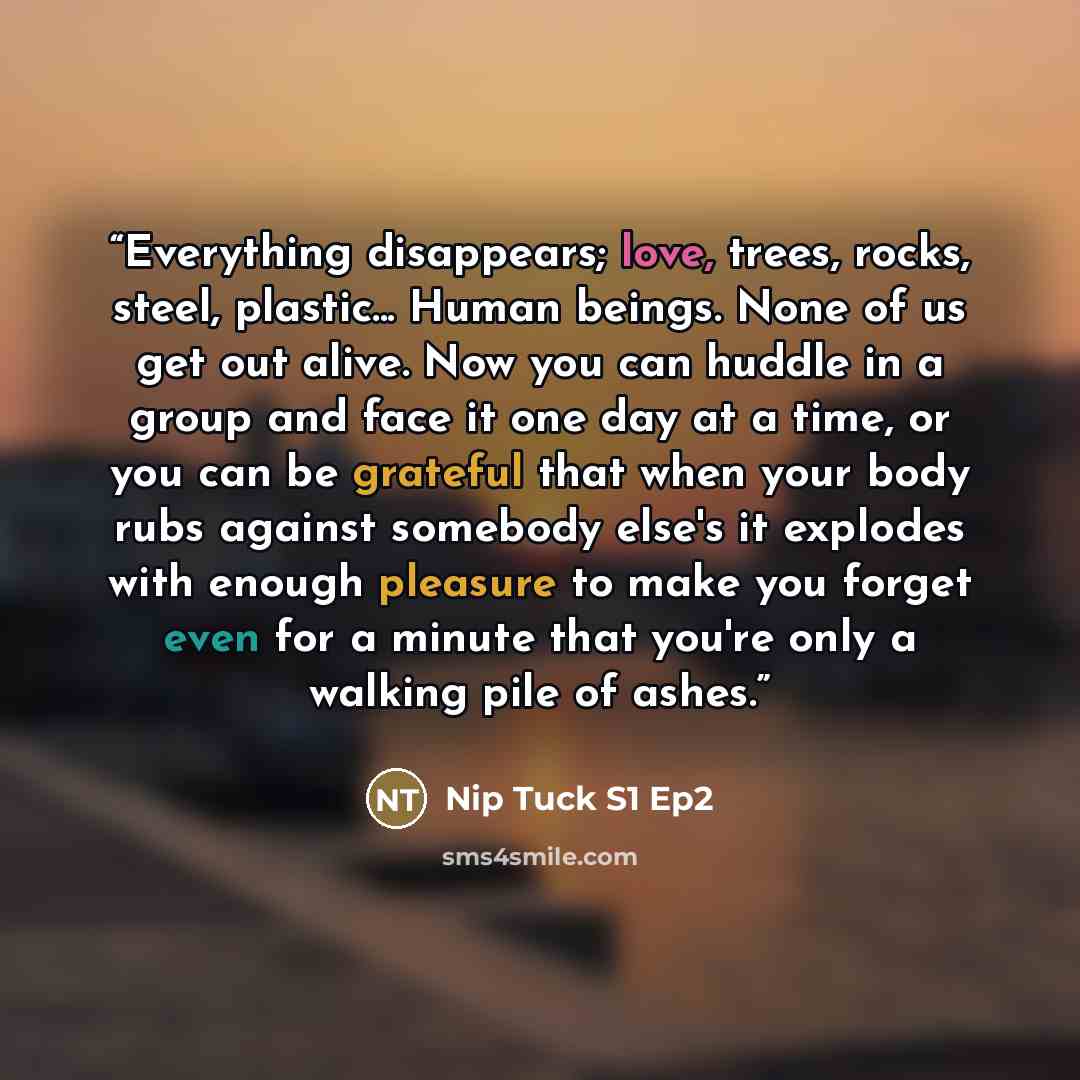 “Everything disappears; love, trees, rocks, steel, plastic... Human beings. None of us get out alive. Now you can huddle in a group and face it one day at a time, or you can be grateful that when your body rubs against somebody else's it explodes with enough pleasure to make you forget even for a…” quote by Nip Tuck S1 Ep2