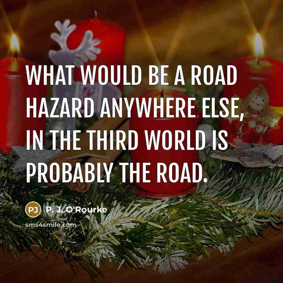 “What would be a road hazard anywhere else, in the…” quote by P. J. O'Rourke