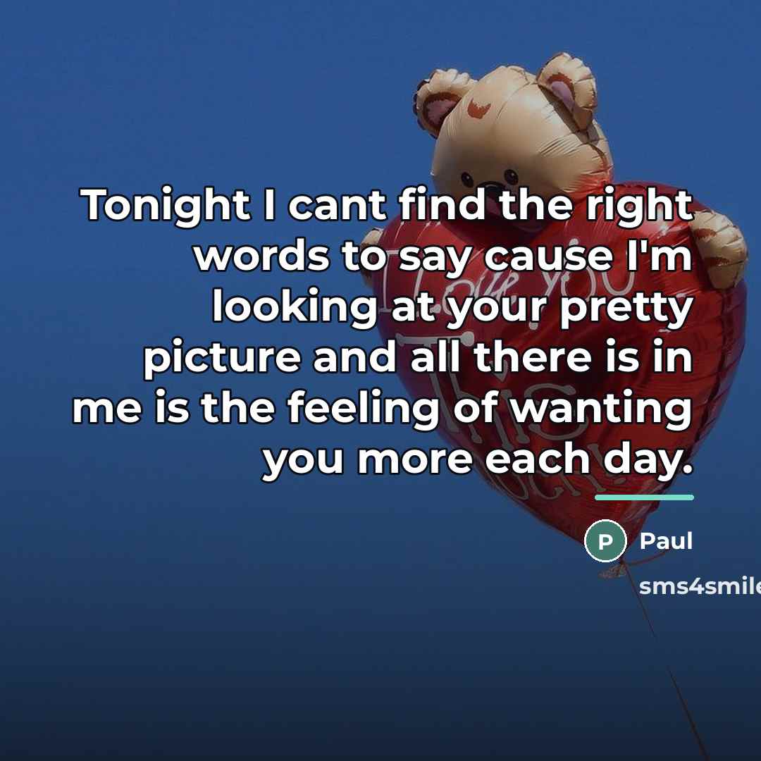 “Tonight I cant find the right words to say cause…” quote by Paul