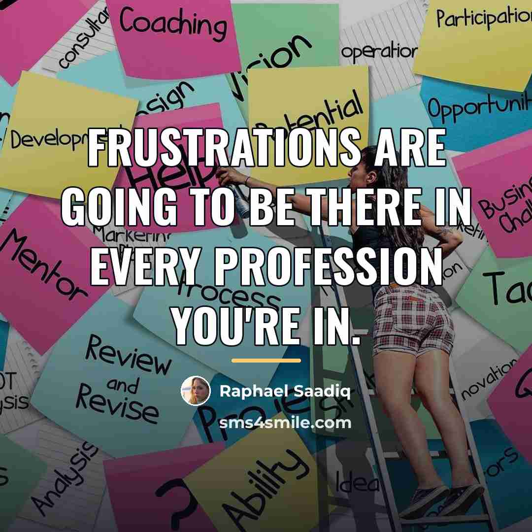 “Frustrations are going to be there in every profession you're…” quote by Raphael Saadiq