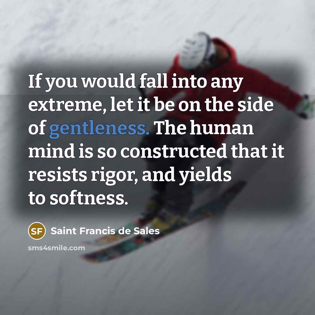 “If you would fall into any extreme, let it be…” quote by Saint Francis de Sales
