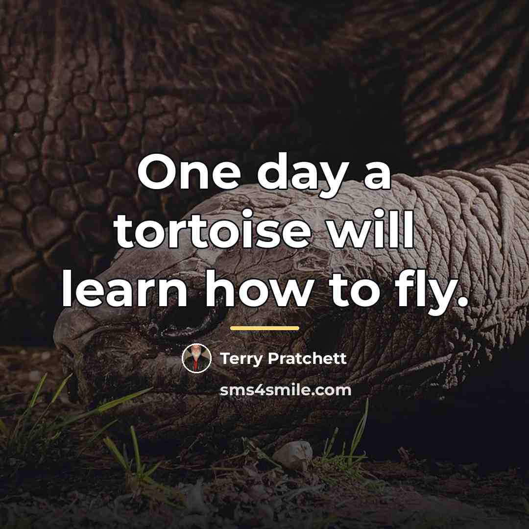 “One day a tortoise will learn how to fly.…” quote by Terry Pratchett