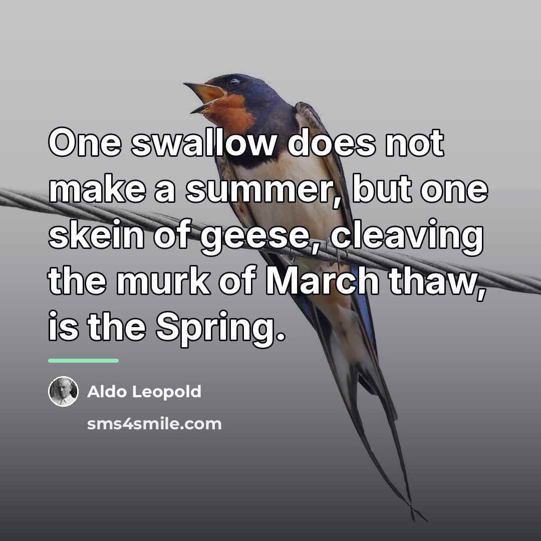 “One swallow does not make a summer, but one skein…” quote by Aldo Leopold