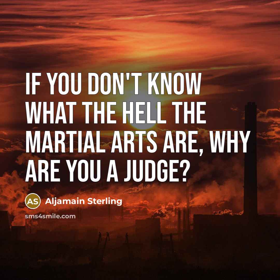 “If you don't know what the hell the martial arts…” quote by Aljamain Sterling