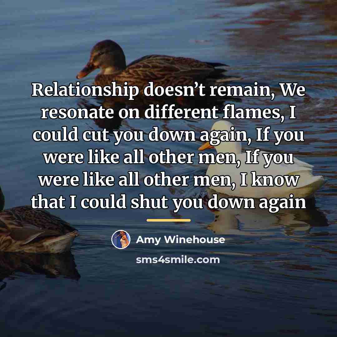 “Relationship doesn’t remain, We resonate on different flames, I could…” quote by Amy Winehouse