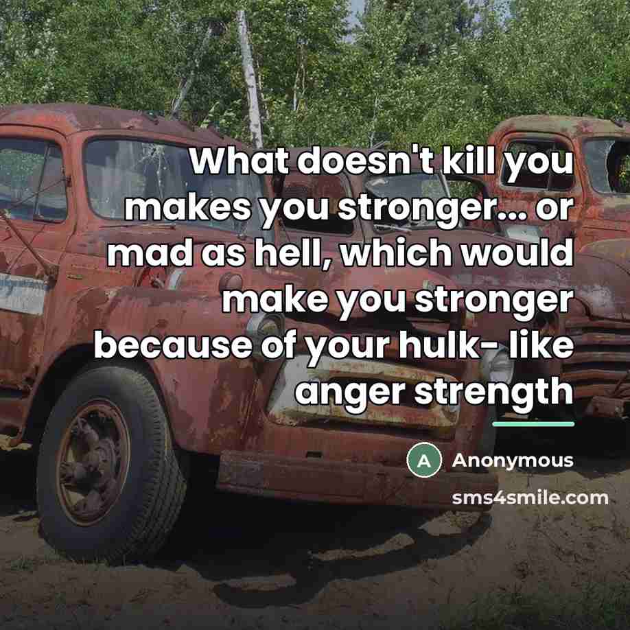“What doesn't kill you makes you stronger... or mad as…” quote by Anonymous