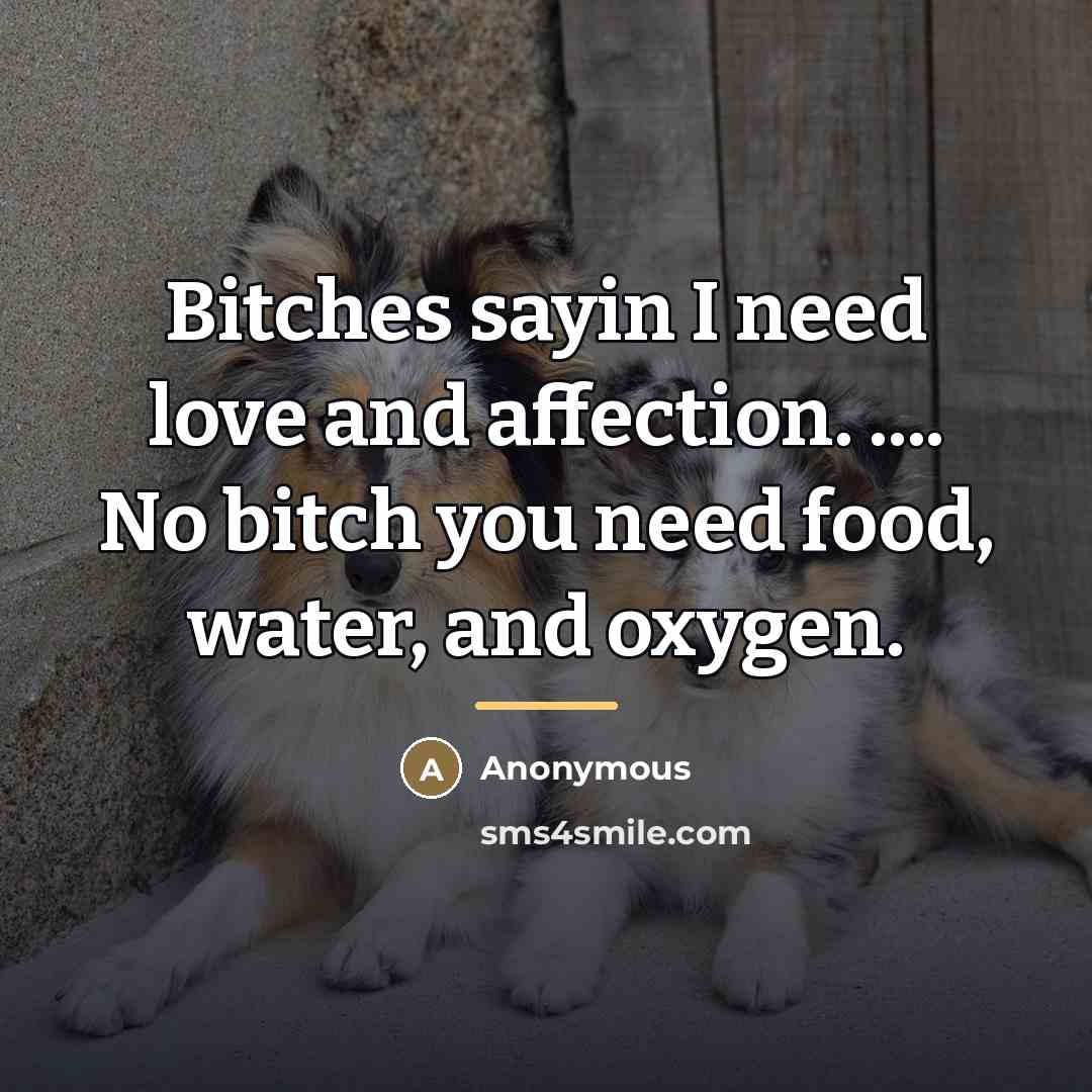 “Bitches sayin I need love and affection. .... No bitch…” quote by Anonymous