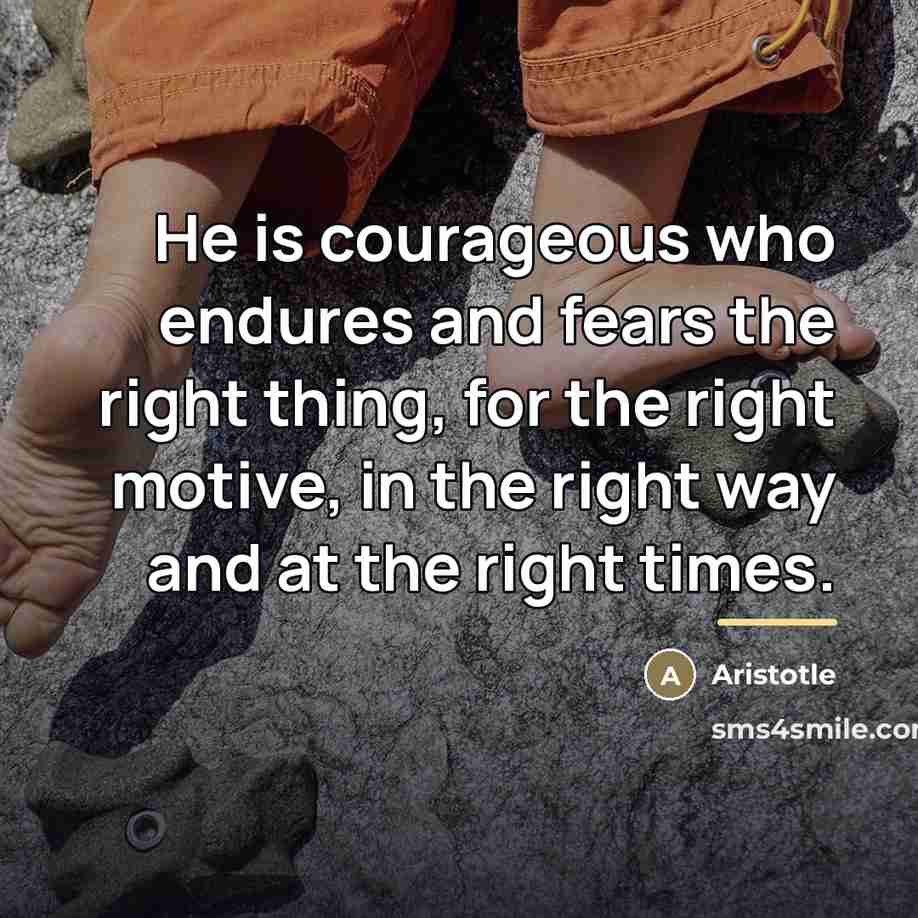 “He is courageous who endures and fears the right thing,…” quote by Aristotle